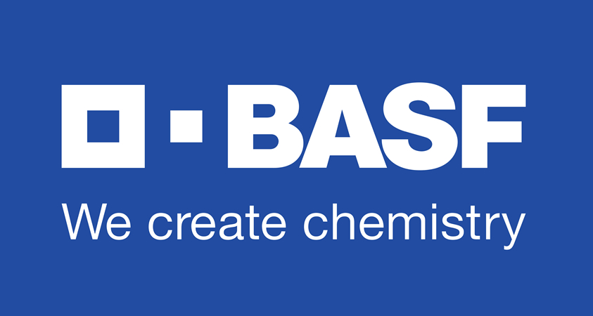 basf seo manager latinoamerica agencia seo